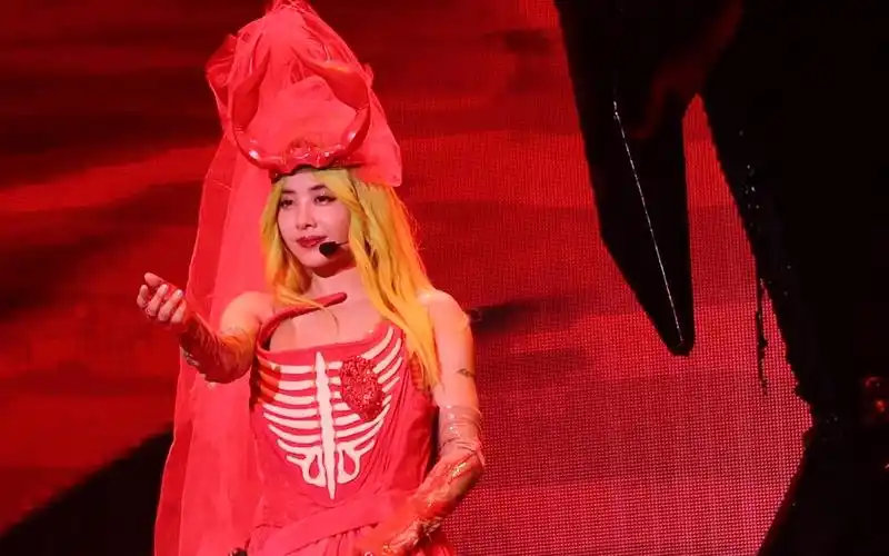 蔡依林ugly beauty演唱会|南宁 红衣女孩