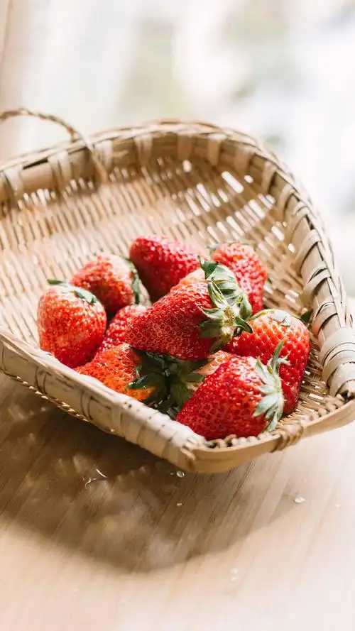 文艺小清新唯美手机壁纸图片