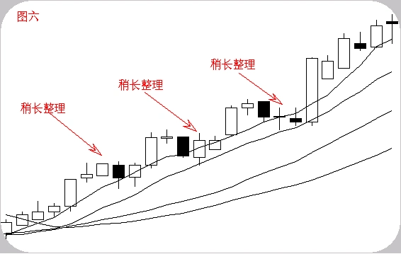 大众009566股票行情