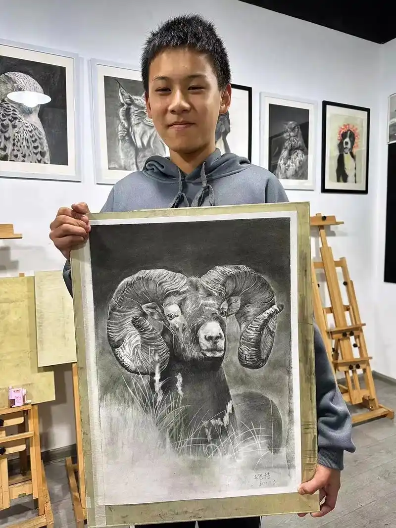 让他有成就感的作品,可可西里的藏羚羊!#素描 #作品欣赏 # - 抖音