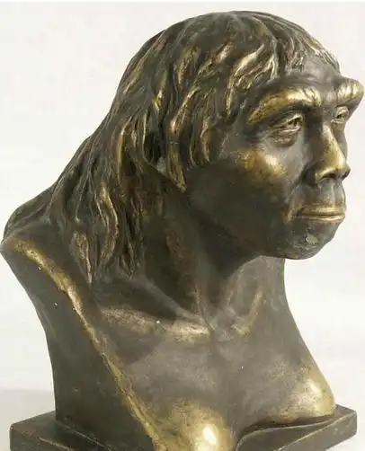 3,北京人 北京人是生活在远古北京周口店的原始人类,属于直立人,会