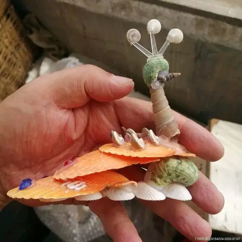 制作精美贝壳摆件工艺品孔雀