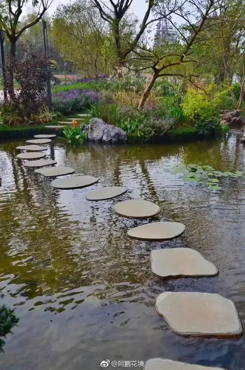 自然水景的植物配置