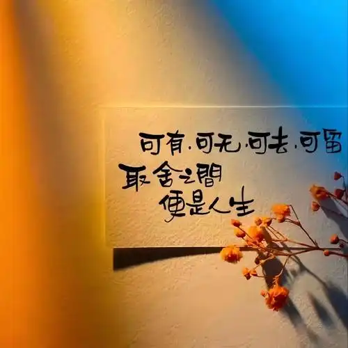 爱情大概就是,终其一生,满是遗憾94 #好看的背景图 #文案 - 抖音