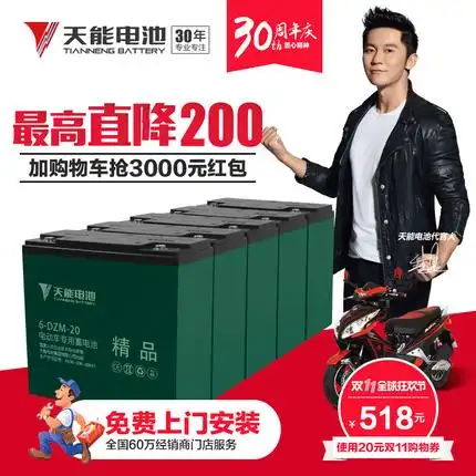 雅迪电动车电瓶 天能电动车电池铅酸电瓶60v20ah5块12v电池爱玛雅迪