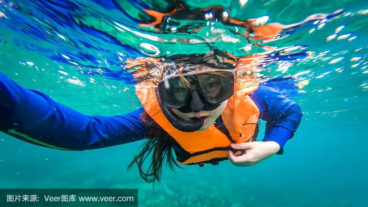 美女们在海里潜水.