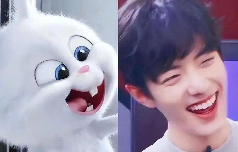 一,肖战——兔子or宠物小猫