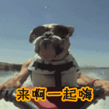 soogifsoogif出品狗来啊一起嗨gif动图_动态图_表情包下载_soogif