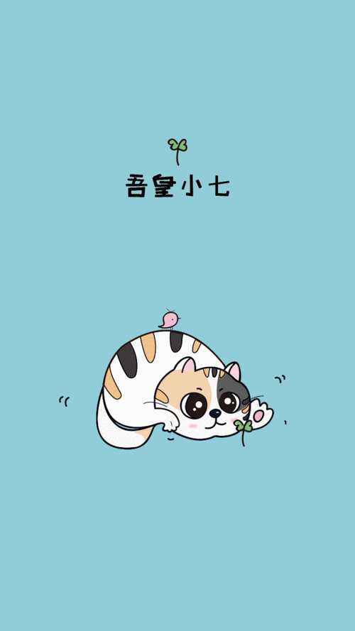 2021最新版唯美动态壁纸 超级好看的高清动态皮肤