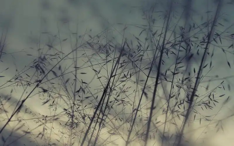 个性冷色调随手街拍艺术图片电脑桌面壁纸 第二辑