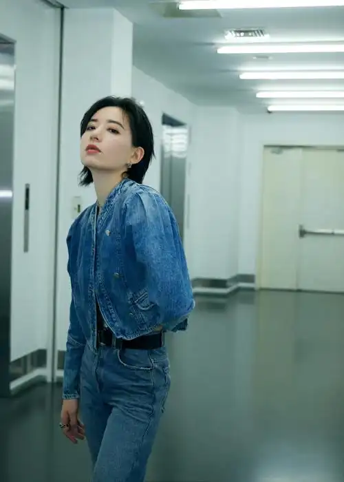 李斯丹妮花儿与少年