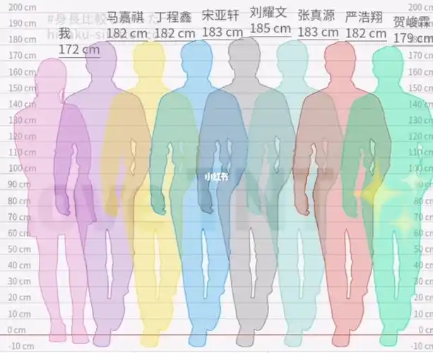 我vs小炸们的身高对比图