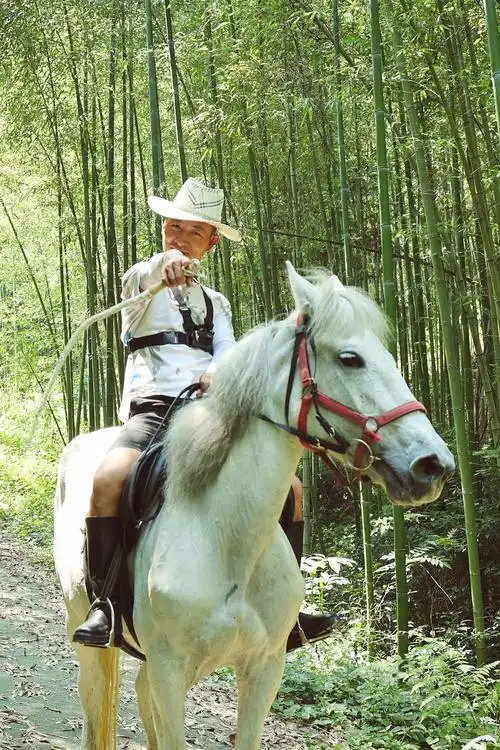 路遇"骑白马穿行竹林"的酷飒男人
