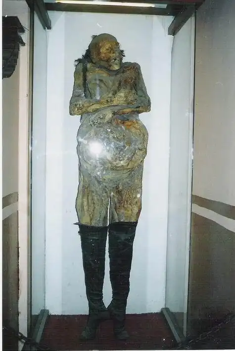 干尸(不喜者勿入)