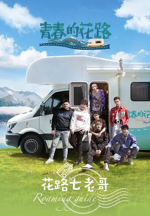 青春的花路的海报