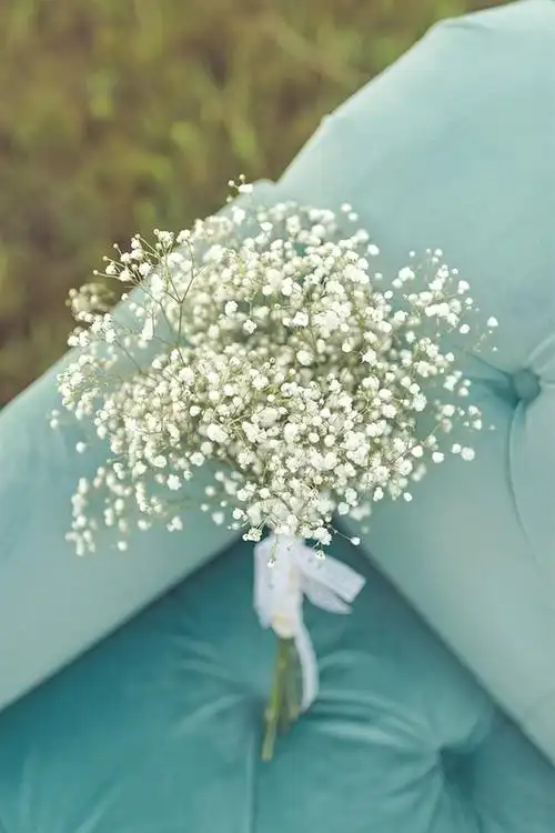 手捧满天星 花儿 唯美