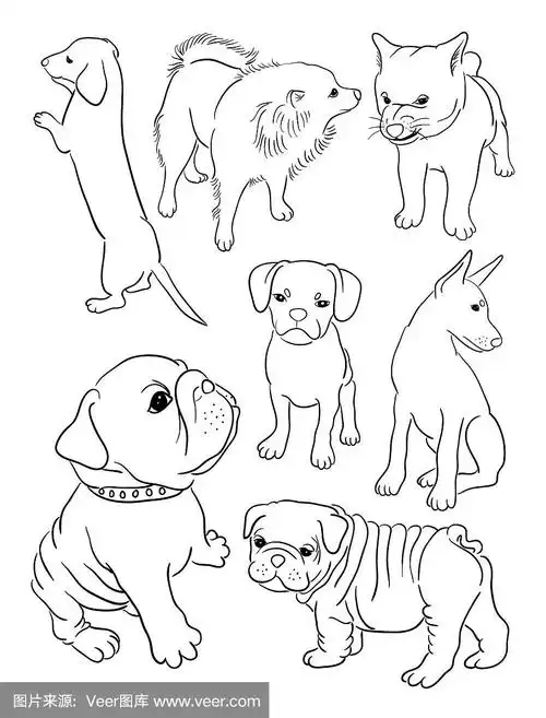 狗艺术线条