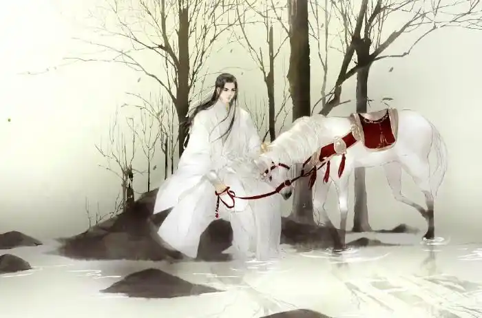 单身,是一种信仰