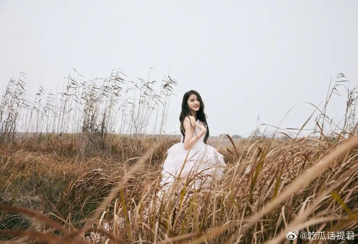 金子涵粉色百褶长裙,新壁纸到了,金子涵这组照片你可吗?