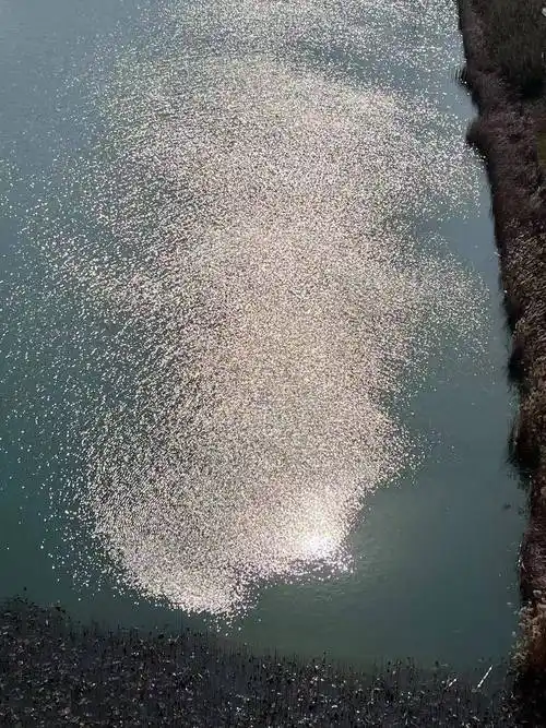 狂徒唱人曲斯文人学大芬行画的高格调