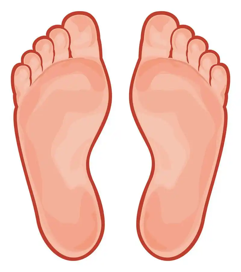 两个脚上孤立的白,两个脚上孤立的白