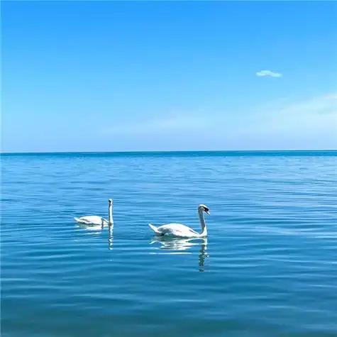 高清能带来好运的微信头像大全2021图片