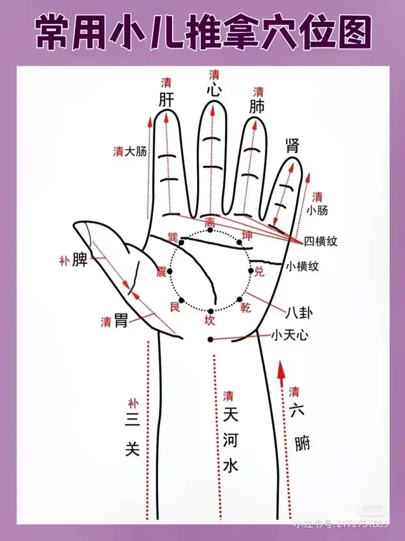背面 四横纹 小天心 ·延年 良 丰隆 眉心 清大肠 ●气海 - 抖音