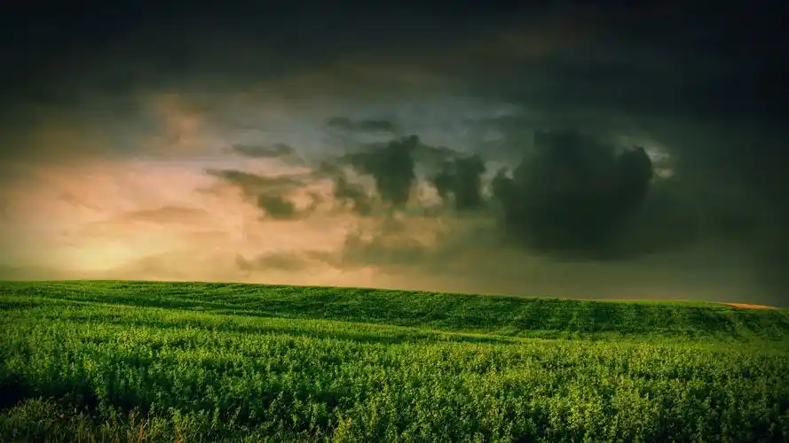 安装元气桌面,海量壁纸一键设置尺寸:1920x1080体积:0.