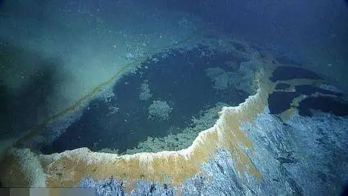 墨西哥湾海底"死亡之池"生物进入必死无疑|盐卤|墨西哥湾|海底_新浪