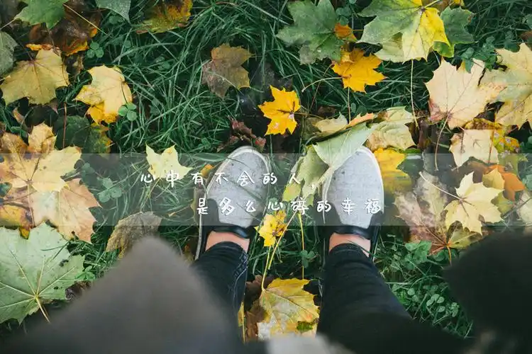 伤心文字语录图片