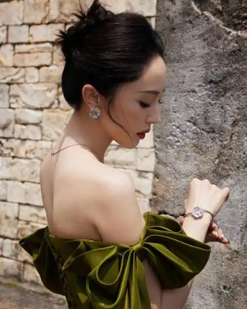 中国演员董璇自2001年出道以来,在娱乐圈中一直是备受关注的女性明星