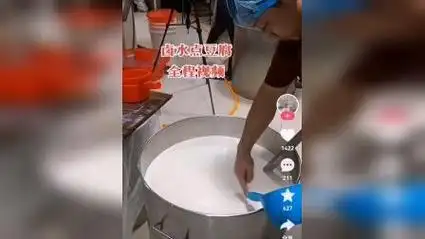 卤水点豆腐全程视频