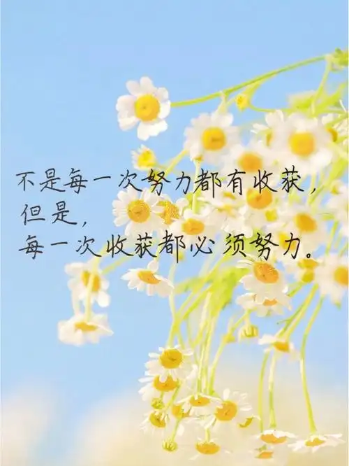78生活是灯,努力是油,若要灯亮,就得加油!#好