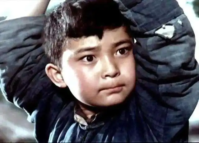 红星照我去战斗—电影《闪闪的红星》背后的故事