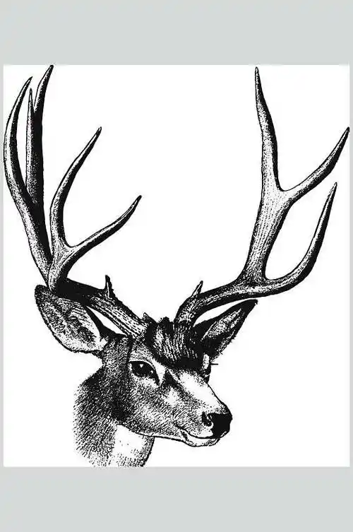 羚羊黑色唯美动物素描手绘矢量素材