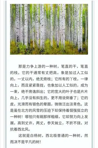 倾听白杨礼赞朗读会宁融媒主播魏安琪