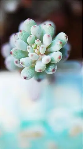 信阳代怀孕服务【电/徽v信:130★5122★8888】