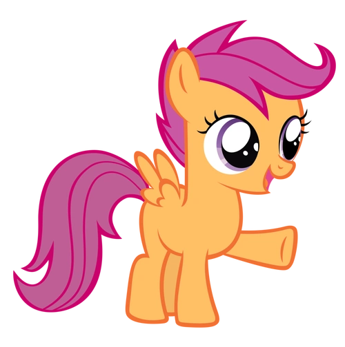 飞板璐(自然人类学)