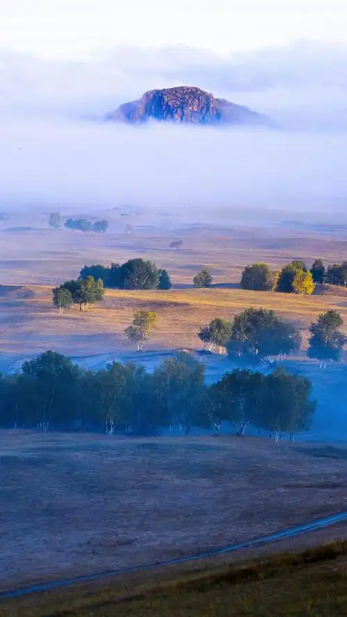 黑龙江——大平台湿地,风景-手机壁纸