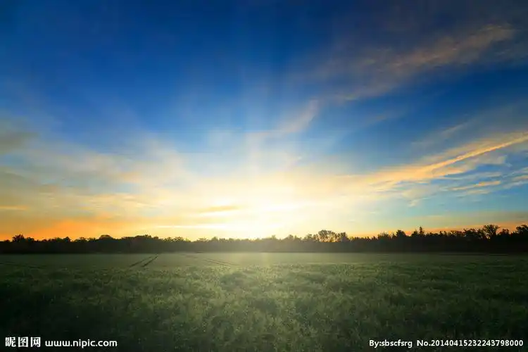 蓝天白云草地树木阳光图片