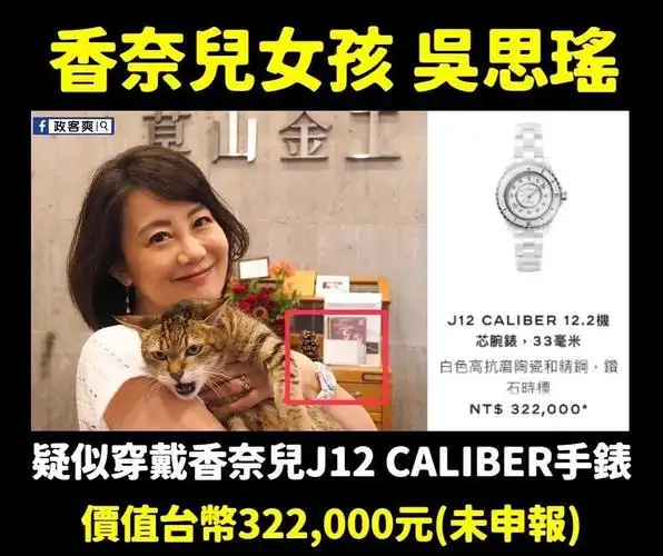 徐巧芯陷入名牌风暴,网友轰:真正的奢侈品大户都是绿营大佬!