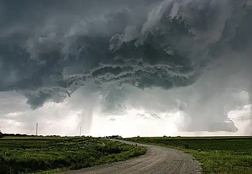 法国雨滴山路杭州湘湖初夏雨天清晨风光杭州湘湖初夏雨天清晨风光雨湿