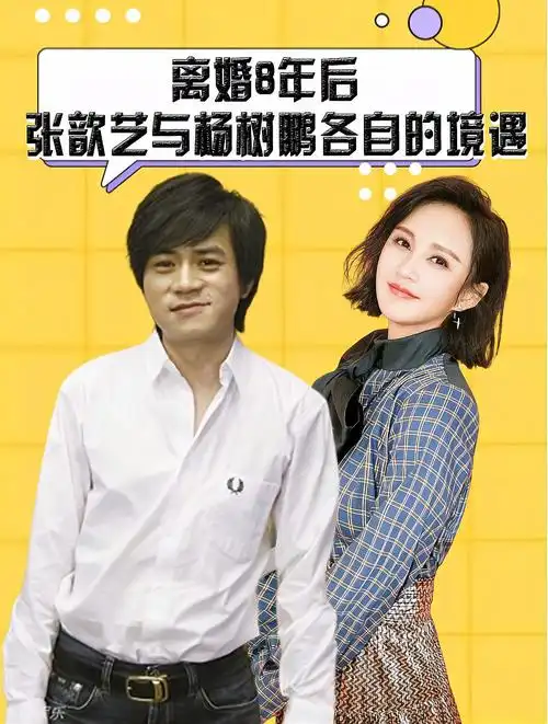 离婚8年后,张歆艺与杨树鹏各自的境遇,两人简直天差地别-度小视