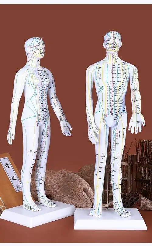 祝浩康白铜色人体针灸模型经络穴位图中医全身针扎练习小皮针灸人体