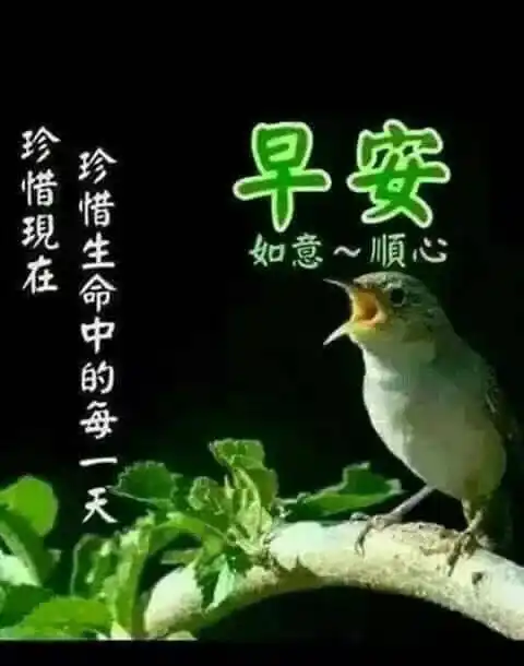 夏季清晨早上好暖心问候表情图片早晨好祝福图片大全