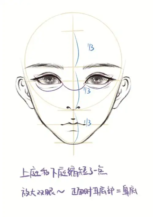 位置的时候可以上下庭稍微缩短一点点#procreate教程  #procreate绘画