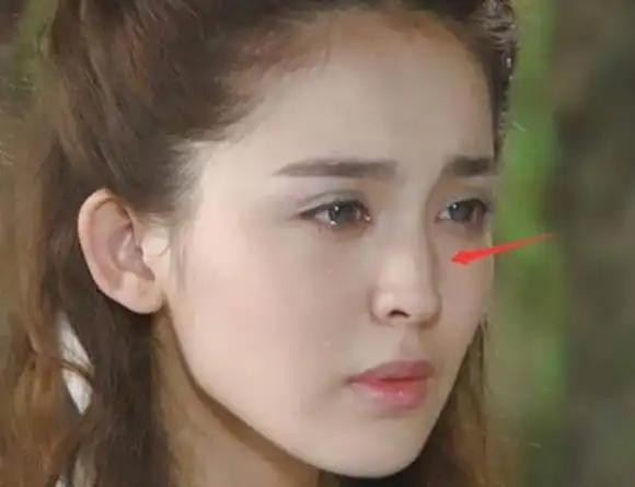 像范冰冰和李嘉欣都是驼峰鼻,只有刘亦菲和古力娜扎的比较明显