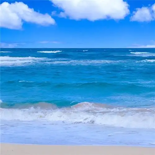 收藏                          相似 扫描到手机 分享微博微信