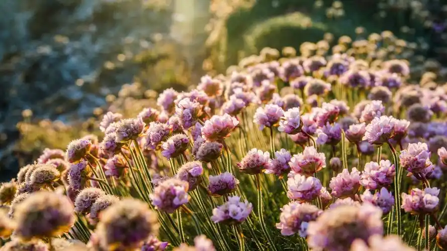 呼吸-绝美自然风景壁纸 [23p] 3/3