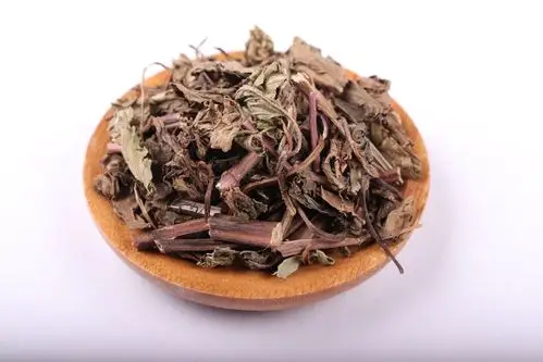 薄荷叶批发 优质过筛中药材新货干薄荷散装500g野薄荷 可磨薄荷粉